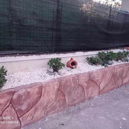 Villa Mirko Vaccarizzo-Delfino المظهر الخارجي الصورة