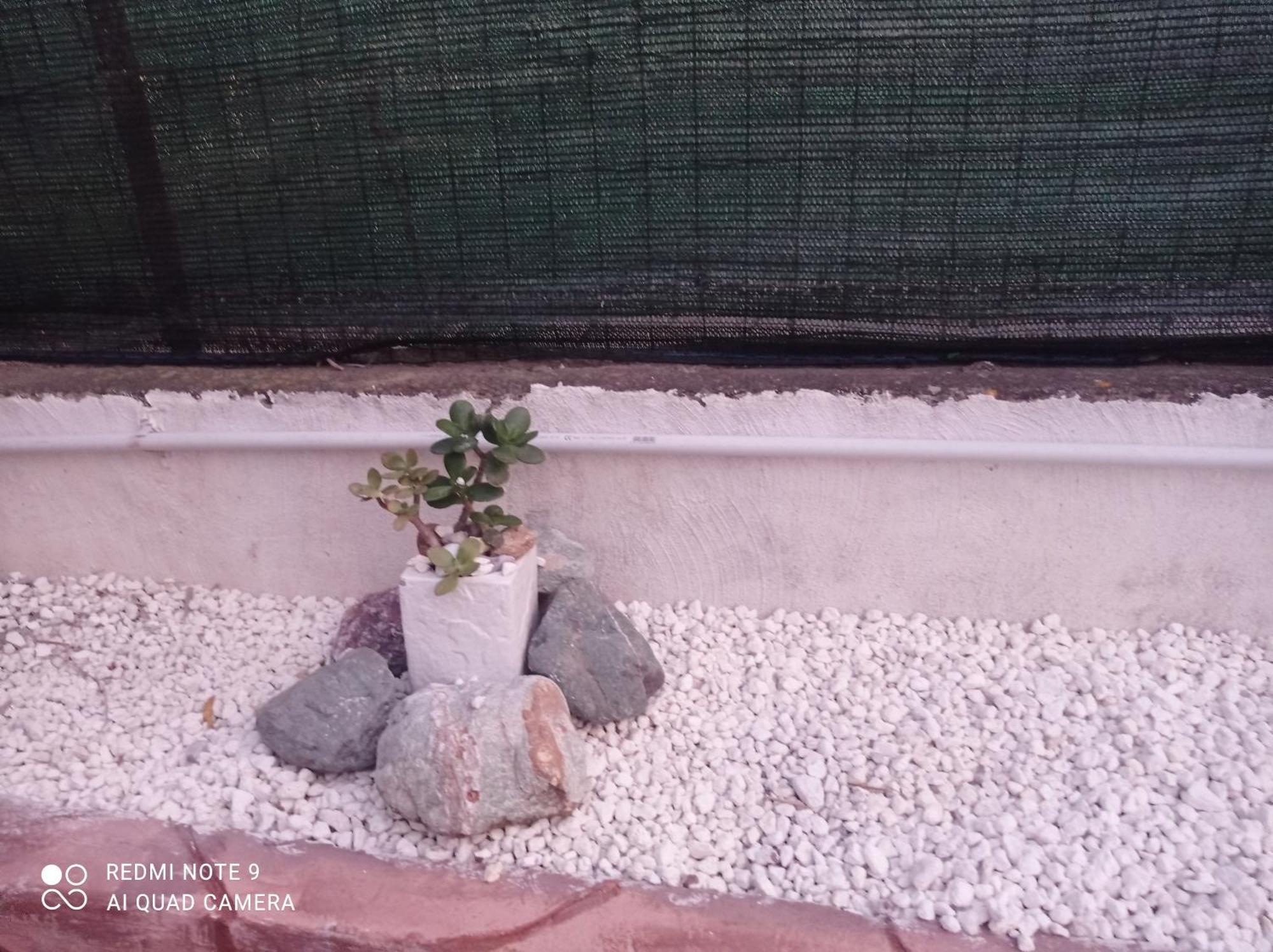 Villa Mirko Vaccarizzo-Delfino المظهر الخارجي الصورة