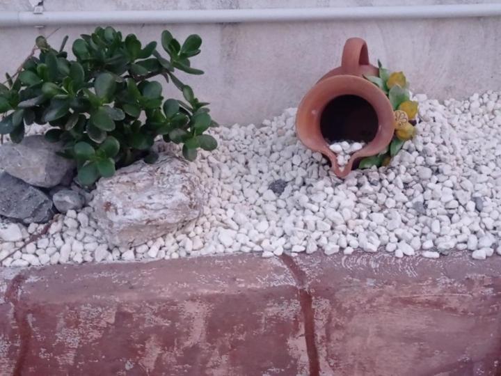 Villa Mirko Vaccarizzo-Delfino المظهر الخارجي الصورة